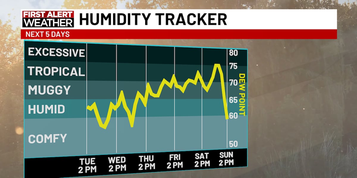 First Alert Forecast: Humidity drop for now, building back in this weekend