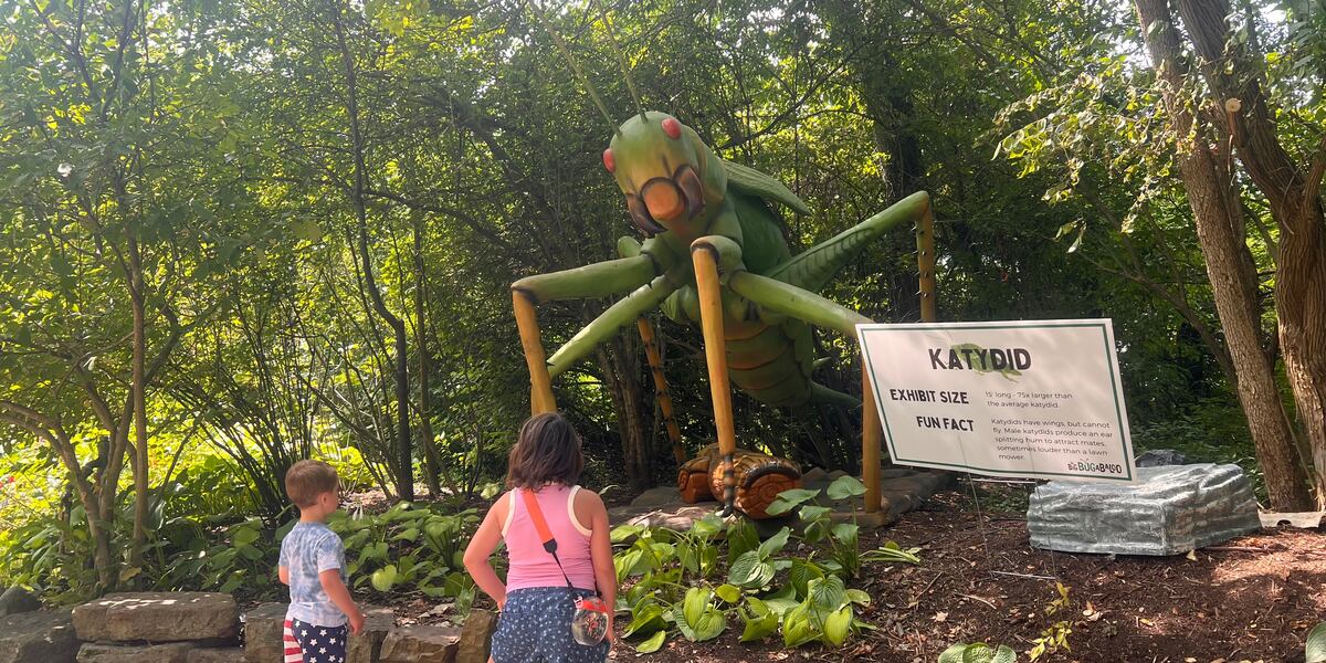 Bugalaloo Math Fort Wayne Children’s Zoo hosts first-ever “Big Bugabaloo”