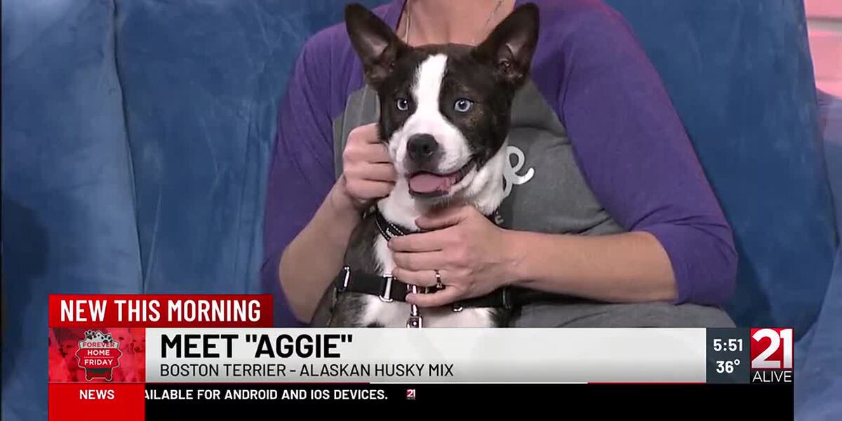 Forever Home Friday: Meet Aggie