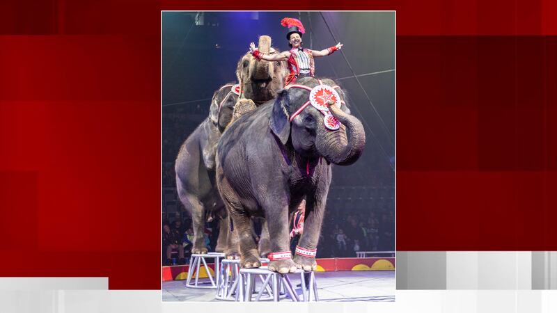 79th annual Mizpah Shrine Circus returning to Fort Wayne in late 79th annual Mizpah Shrine Circus returning to Fort Wayne in late