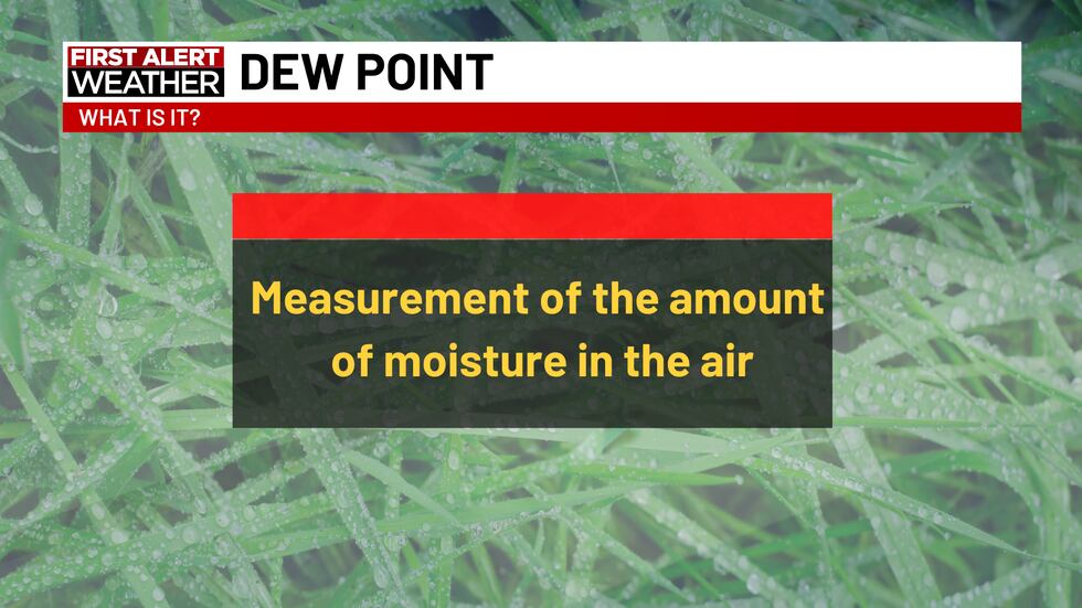 Approach Dew Point Explaining the ‘dew point’ and how it affects the weather