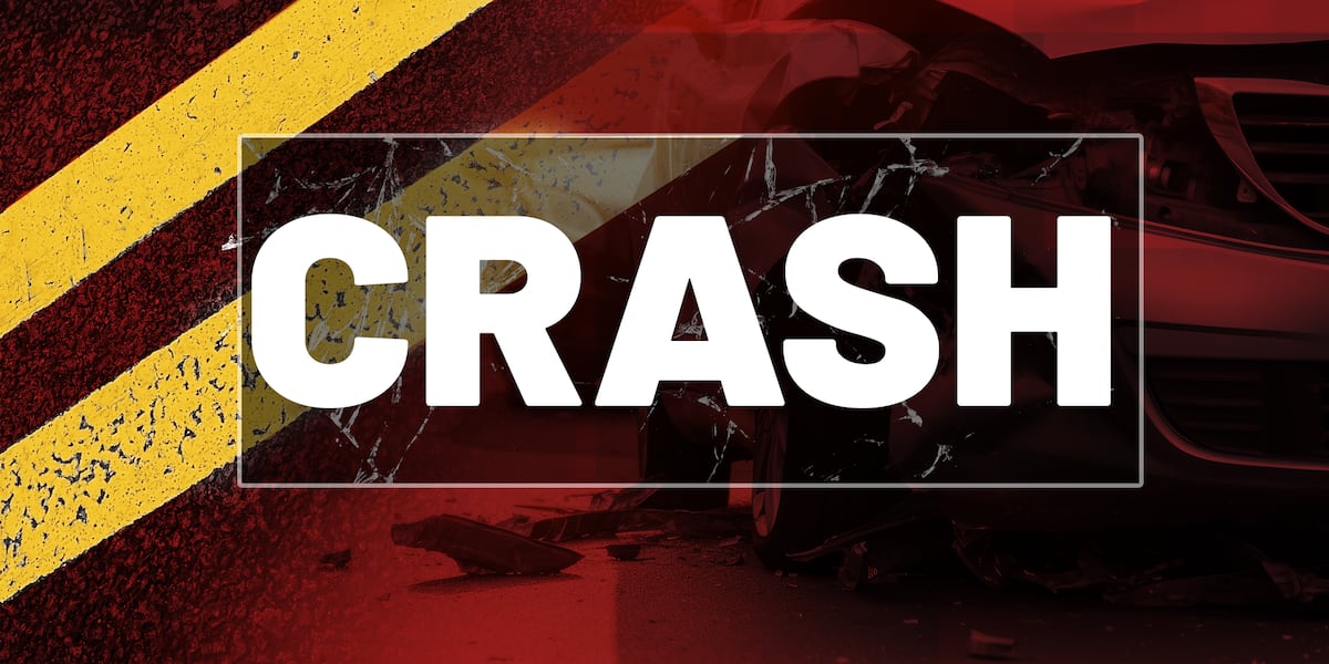 Michigan man allegedly fled scene of single-vehicle Steuben Co. crash that left 2 children hospitalized