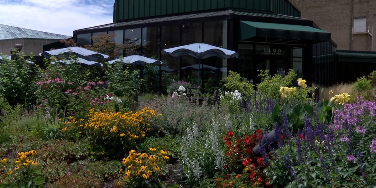 Music fest brings rhythm and roots together at Foellinger-Freimann Botanical Conservatory