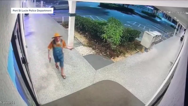 Bar argument over how many eggs a chicken can lay leads to gunfire.